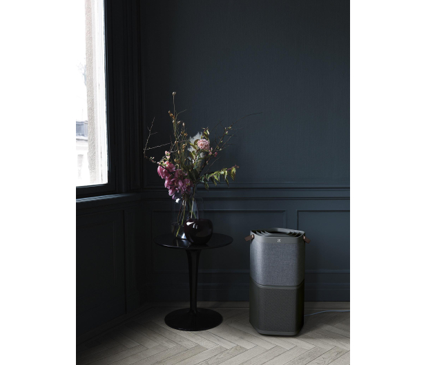 Electrolux OCZYSZCZACZ POWIETRZA ELECTROLUX PA91-404DG^ [#] - 1381402 - zdjęcie 9